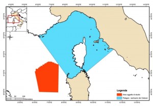 Il Santuario Pelagos e la Zona E