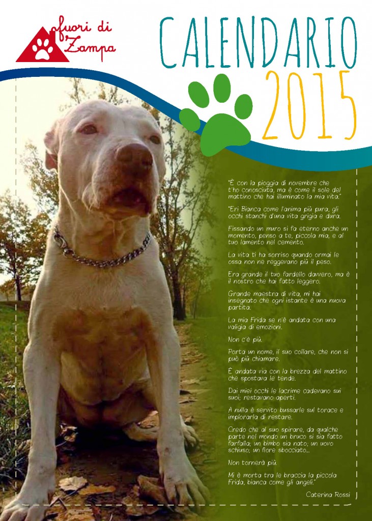 copertina calendario FdZ 2015_Pagina_01